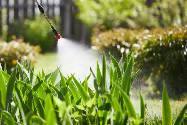 24/7 Emergency Ant Control experts in Eaton Rapids, MI